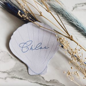 Pale Blue Shell place names